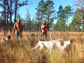 Southern Woods
